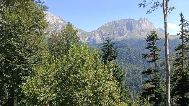 Окрестности Водопадистого(Пшехский водопад) смотреть онлайн