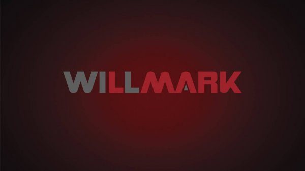 Фирменный пакет WILLMARK