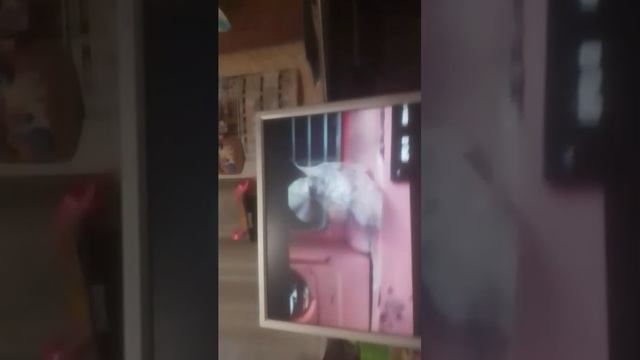 Пение чек🥳 смотреть онлайн