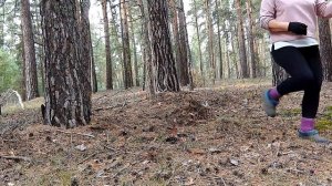 Яичница « Экстрим « / едем в бор за шишками / шашлык и овощи в духовке на ужин