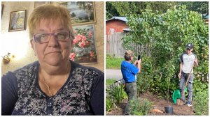 29.08.25 - Сережа сажает грушу. // А с какой целью вы это прислали?🤔