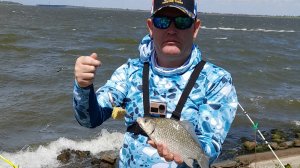 "Альпийская деревня". Астрахань. Первая рыбалка на сазана. Не все так просто. Вторая часть.