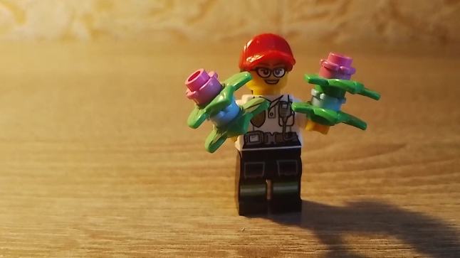 ЛЕГО САМОДЕЛКА ПОДАРОК 5 смотреть онлайн