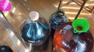 Грибы высохли ,перебираю бруснику .