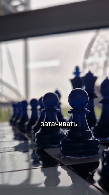 лучшая тренировка разума- шахматы