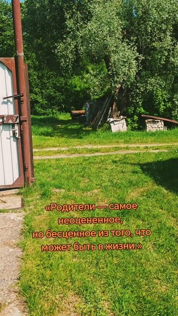 самое неоцененное