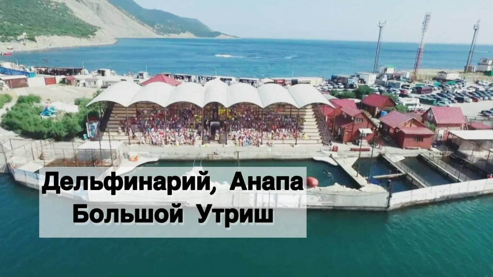 Дельфинарий в море! Большой Утриш, Анапа 2025