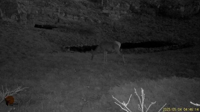 Видео: Андрей Чумаченко. смотреть онлайн