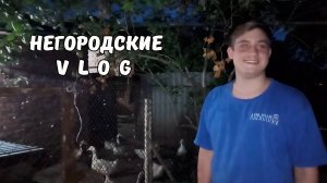 Вечер с НУТРЯШКАМИ и ЩЕНКАМИ. Куда поступил учиться ИЛЬЯ. 24.08.25