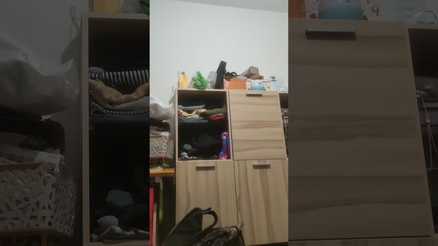 VID_20250829_225537.mp4