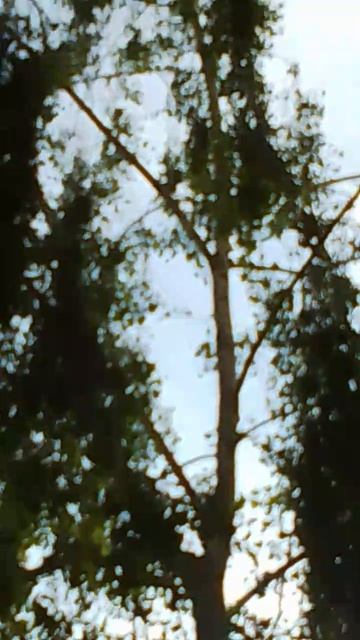 Ландшафтный дизайн двора смотреть онлайн