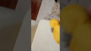 обзор на игрушку мульти-пульти корней корнеич из Лунтика