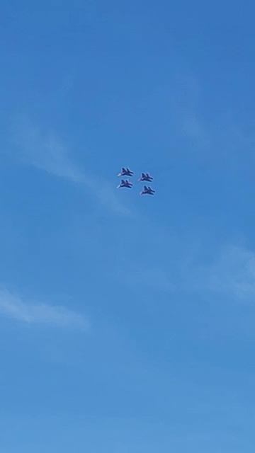 Стрижи в полёте! смотреть онлайн