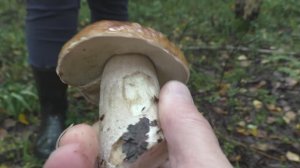 Ушёл в лес с женой! Жена как талисман приносит удачу!