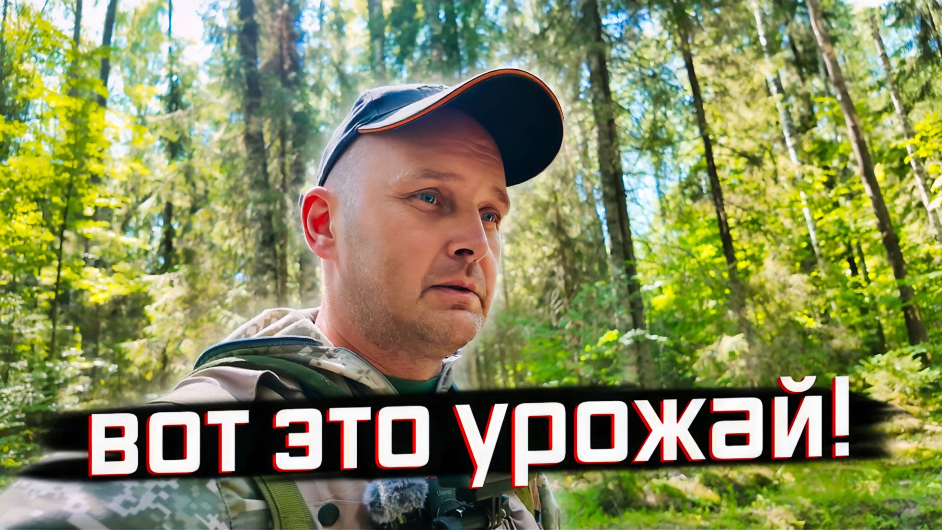 РЕДКИЕ ГРИБЫ В ЛЕСУ: ВОТ ЭТО УРОЖАЙ! Грибные поляны, каких ещё не видел! смотреть онлайн