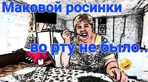 Обзор от 27 августа 2025г.
Белая щебенка.