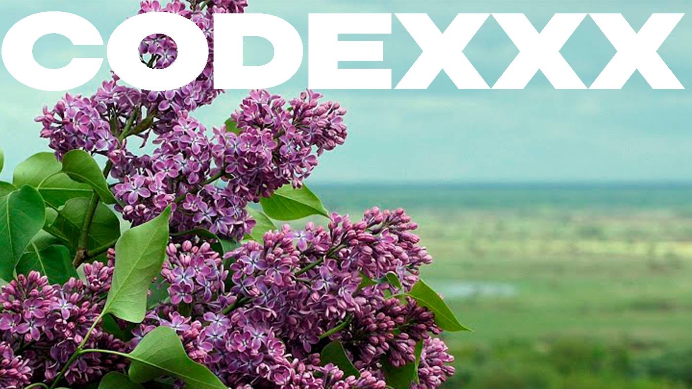 играем,разговариваем смотреть онлайн