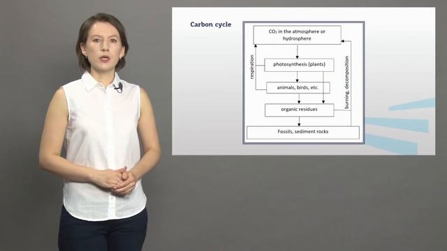 2 курс Сапронова 4 3