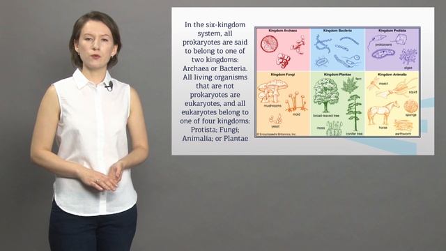 2 курс Сапронова 3 2