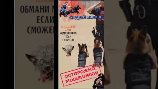 Радужная на регистратуре смотреть онлайн