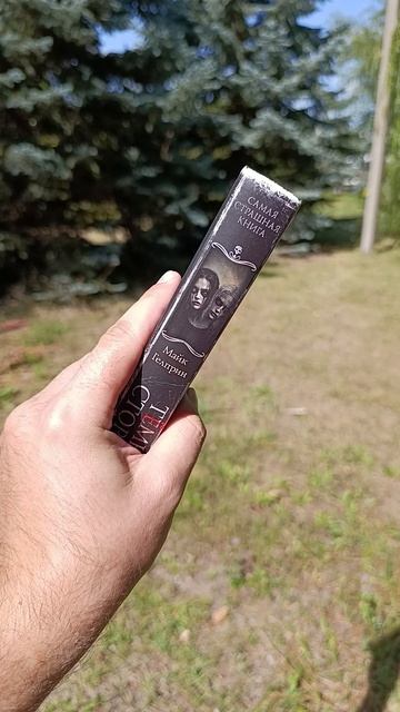 ТЕМНАЯ СТОРОНА #книгирекомендую #буктюб #букток #книги #сск #самаястрашнаякнига смотреть онлайн