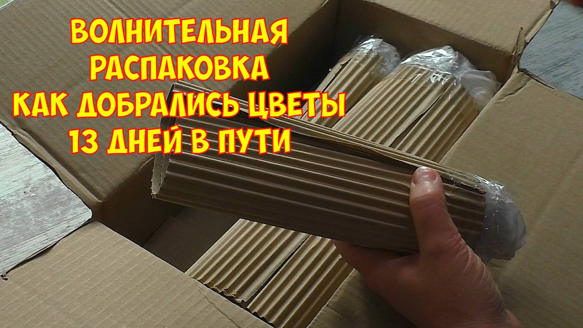 Цветочные обновки. До дома оставалось совсем ничего и вновь она застряла !!! Распаковка и обзор. смотреть онлайн