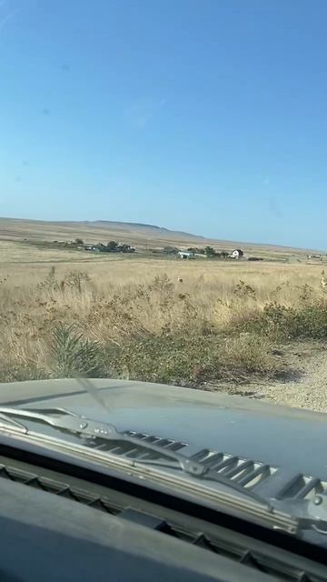 Аист провожает сотрудников инспекции на работу. смотреть онлайн