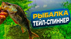РЫБАЛКА НА ТЕЙЛ-СПИННЕР! КАКИЕ ПРОВОДКИ И КАК ЛОВЯТ? ОКУНЬ ИЛИ ВСЯ РЫБА? КЛЮЕТ НА СПИННИНГ? ЛОВИМ!