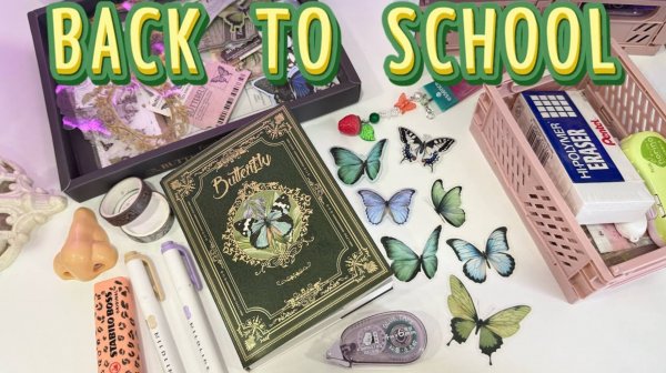 Заполняю ежедневник готовым набором / Basc to school/ Polly Pie
