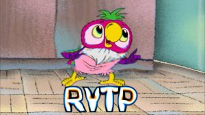 Попугай кеша RYTP