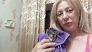 Начала лечение💉//маленькая находка🐱//радостная новость🪙