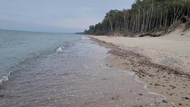 Балтийская жемчужина: Куршская коса – место, где встречаются море и небеса смотреть онлайн