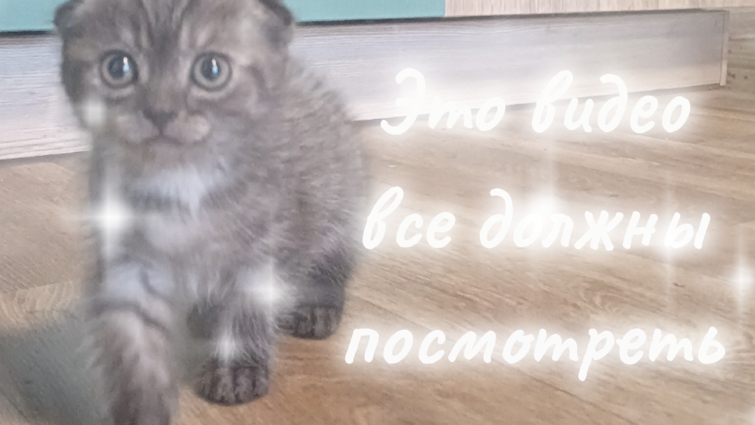 Отправьте это видео всем :) смотреть онлайн
