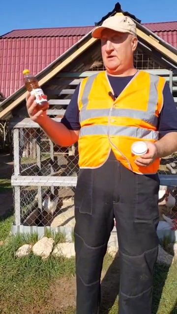 ДВЕ ГЛАВНЫЕ ОСЕННИЕ ДОБАВКИ ДЛЯ ЯЙЦЕНОСКОСТИ КУР! 29.08.2025 ГОД. #яйца #пчелиныйрой #рецепт смотреть онлайн