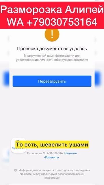Алипей верификация не идет как быть смотреть онлайн