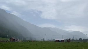 Срочно продаю участок 1га(+0,5га) в Горном Алтае, на высоком берегу Катуни, в Аюла, напротив Чемала.