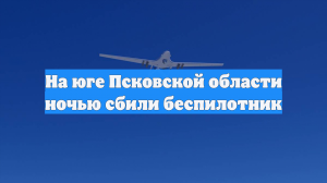На юге Псковской области ночью сбили беспилотник