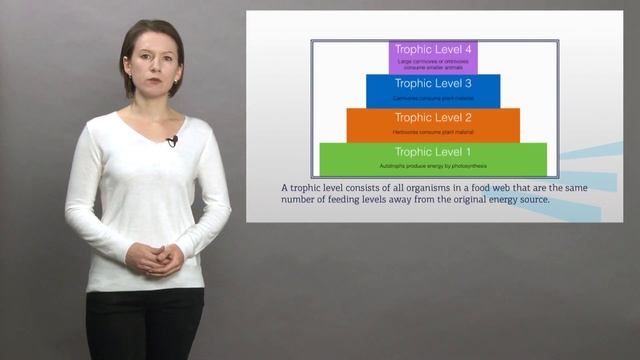 2 курс Сапронова 4 2