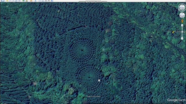 Лес в виде кругов. Аномалия в Японии или рукотворные объекты смотреть онлайн