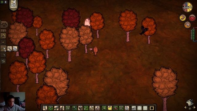 Первый раз в Донт старв Dont Starve Together #0