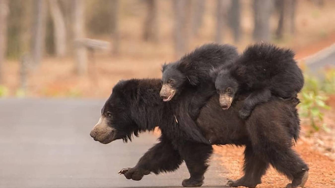 День рождения мотоцикла смотреть онлайн