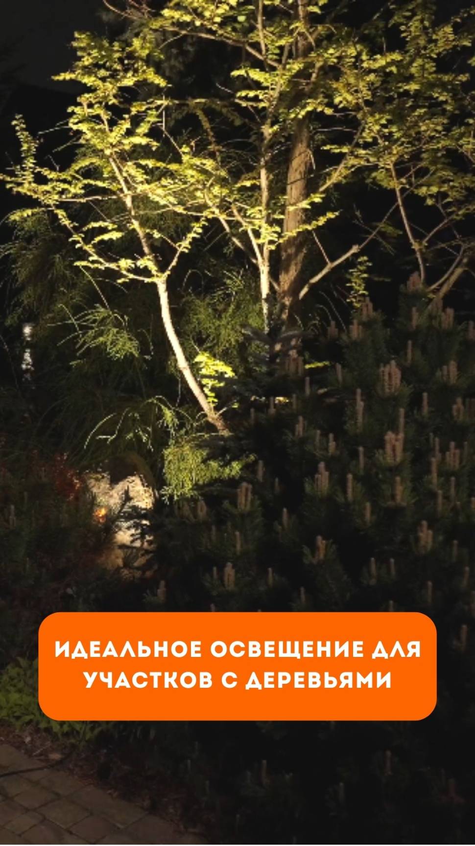 Идеальное освещение для участков с деревьями!