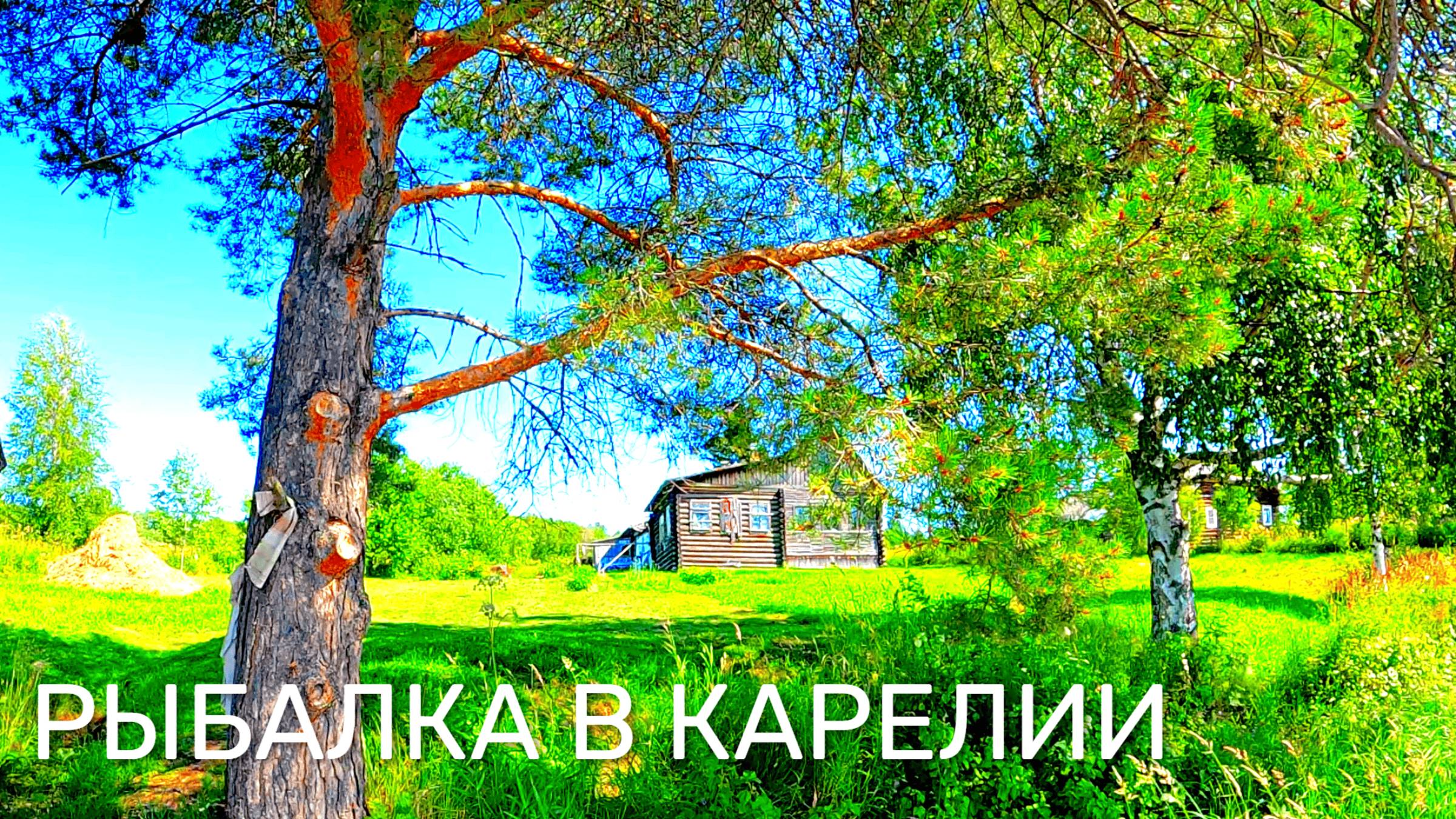 РЫБА НА КАЖДОМ ЗАБРОСЕ! РЫБАКИ НАЛОВИЛИ РЫБЫ И ПРИГОТОВИЛИ. РЫБАЛКА В КАРЕЛИИ 2025 смотреть онлайн