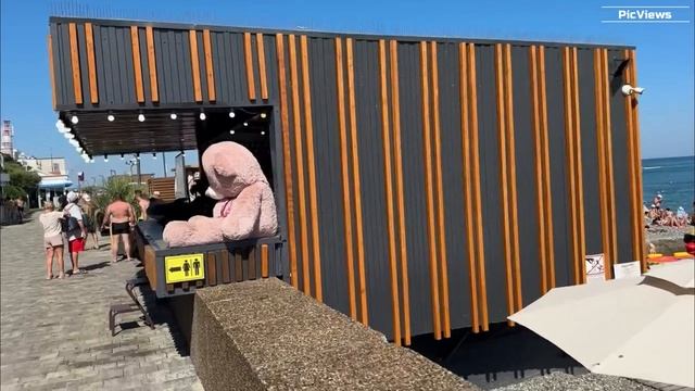 СОЧИ Адлер пляж Чайка сегодня 29 августа 2025. Какая погода сейчас в Сочи. Обстановка на пляже смотреть онлайн