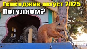 Геленджик август 2025 Набережная и ужин в ресторане "Венский двор"