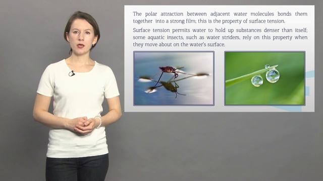 2 курс Сапронова 2 2