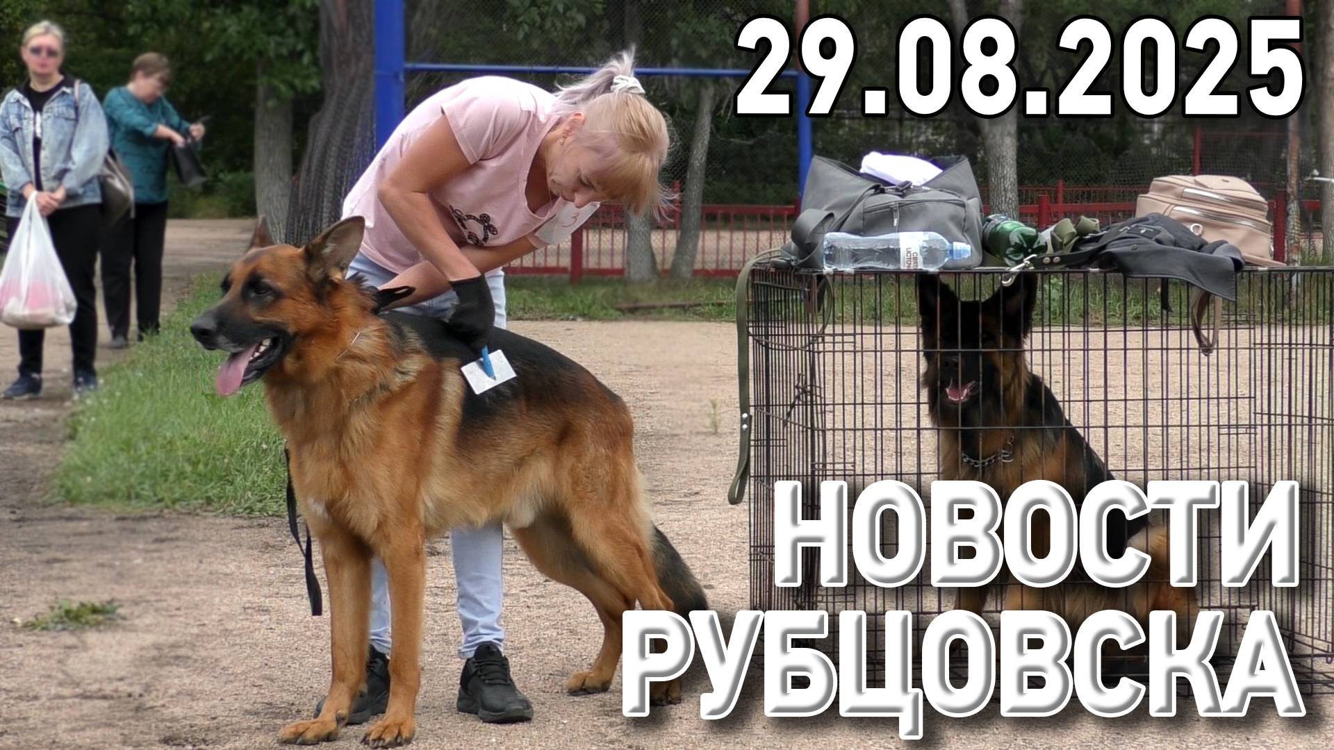 Новости Рубцовска (29.08.2025) смотреть онлайн