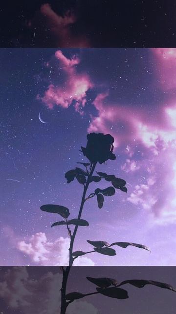 Простишь ли ты мне мои ревнивые мечты