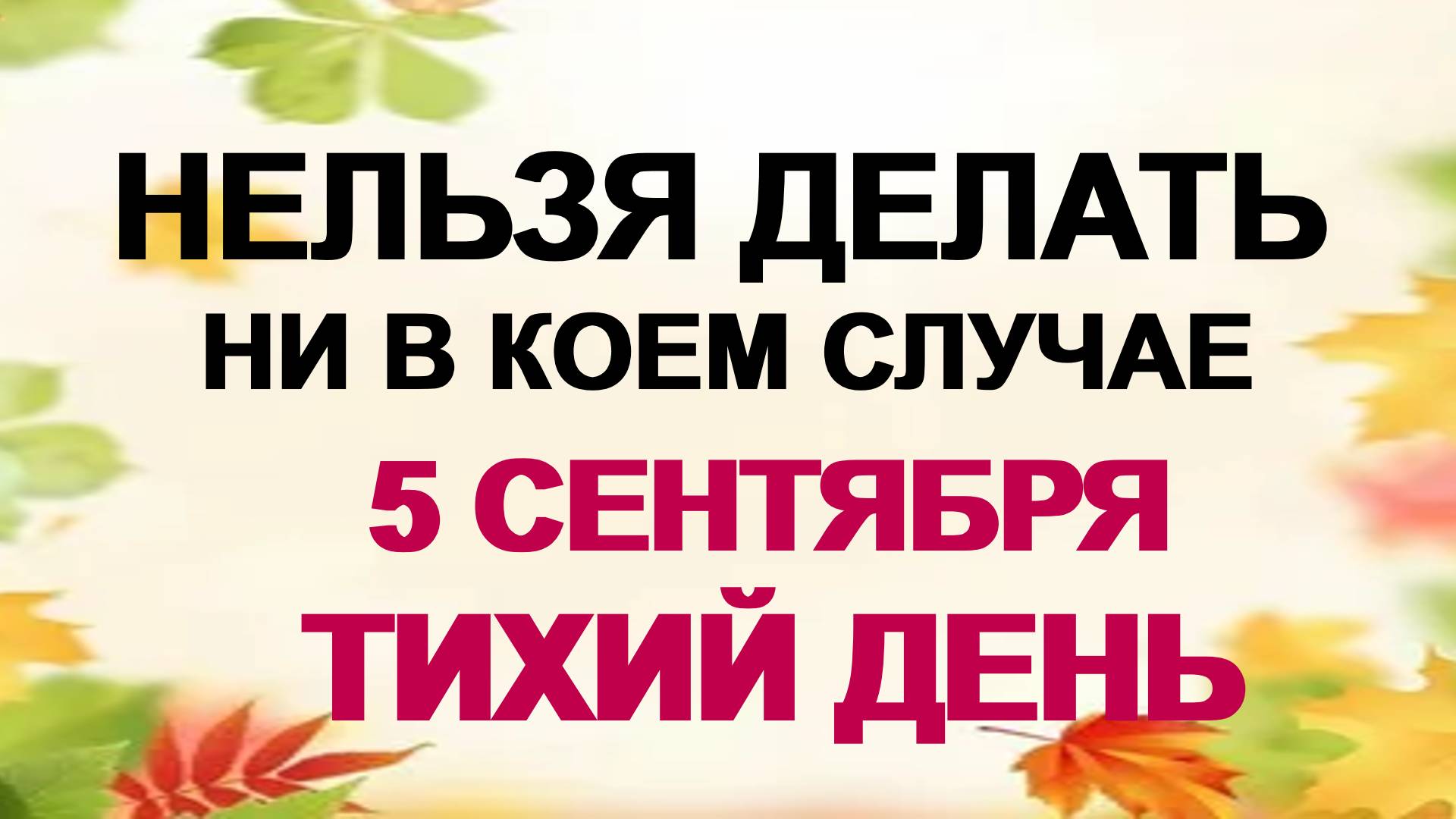 5 сентября. Луп Брусничник: что нельзя делать, иначе все проблемы вернутся смотреть онлайн