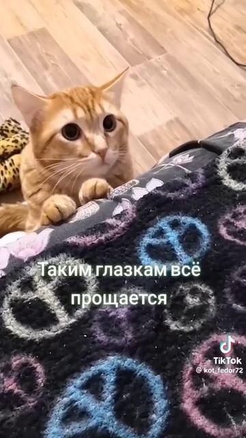 всё прощается #shorts